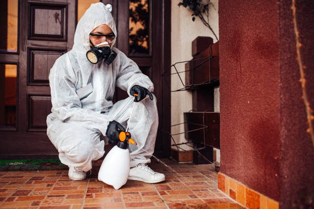 Reliable Ant Control contractor in Lanham, MD by Nex Pest Control